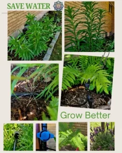 Save Water Grow Better