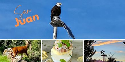 Escape to the San Juan Islands: A Relaxing Pacific Northwest Getaway